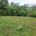 4 LOTS OF LAND FOR SALE(ඉඩම් කැබලි 4ක් විකිනීමට)