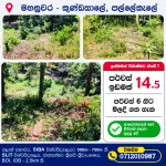 කුණ්ඩසාලේ – පල්ලෙකැලේ පර්චස් 14.5ක ඉඩමක් විකිණීමට. පර්චස් 6 සිට මිලදී ගැනීමේ හැකියාව ඇත.