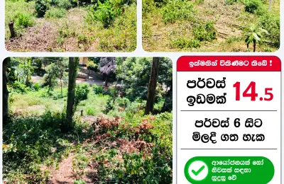 කුණ්ඩසාලේ – පල්ලෙකැලේ පර්චස් 14.5ක ඉඩමක් විකිණීමට. පර්චස් 6 සිට මිලදී ගැනීමේ හැකියාව ඇත.