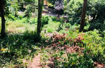 කුණ්ඩසාලේ – පල්ලෙකැලේ පර්චස් 14.5ක ඉඩමක් විකිණීමට. පර්චස් 6 සිට මිලදී ගැනීමේ හැකියාව ඇත.