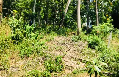 කුණ්ඩසාලේ – පල්ලෙකැලේ පර්චස් 14.5ක ඉඩමක් විකිණීමට. පර්චස් 6 සිට මිලදී ගැනීමේ හැකියාව ඇත.