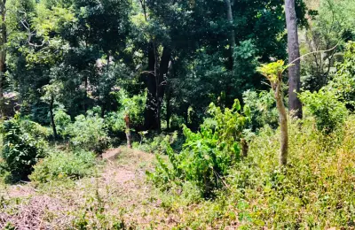 කුණ්ඩසාලේ – පල්ලෙකැලේ පර්චස් 14.5ක ඉඩමක් විකිණීමට. පර්චස් 6 සිට මිලදී ගැනීමේ හැකියාව ඇත.