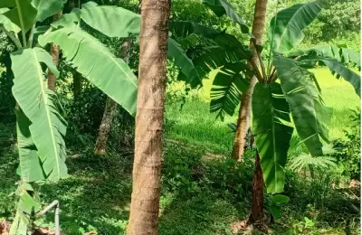සුන්දර තිස්ස මහාරාමයෙන් ඔබටත් මෙන්න කදිම ඉඩමක්......