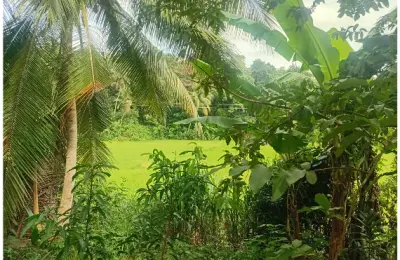 සුන්දර තිස්ස මහාරාමයෙන් ඔබටත් මෙන්න කදිම ඉඩමක්......
