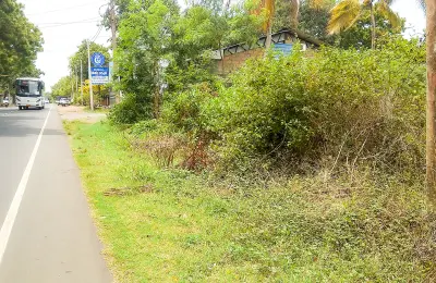 📍 තිස්ස – මාතර ප්‍රධාන මාර්ගයට මුහුණලා - පදිංචියකට සහ ආයෝජනයකට සුදුසු ඉඩමක් විකිණීමට !