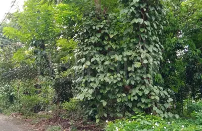 Residential Land for Sale in Kadawatha