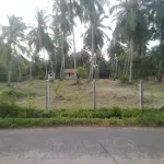 Land for sale in Marawila