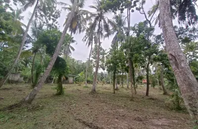 Land for sale in Marawila