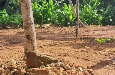 Land from matara town