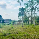 NSBM හරිත විශ්ව විද්‍යාලය අසල පර්චස් 46ක ඉඩමක් ඉක්මනින් විකිණීමට