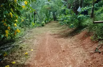 වටිනා ඉඩමක් විකිනිමට