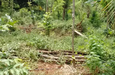 වටිනා ඉඩමක් විකිනිමට