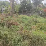 Valuable Residential / Commercial Land for Sale in Kapuliyadda