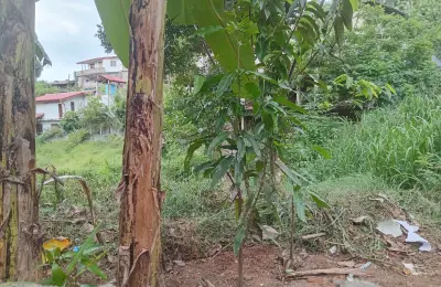 Valuable Residential / Commercial Land for Sale in Kapuliyadda