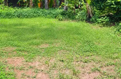 Land for sale in Boralesgamuwa